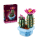 LEGO BOTANICALS 11509 Kwitnący kaktus - 1473413 - zdjęcie 2